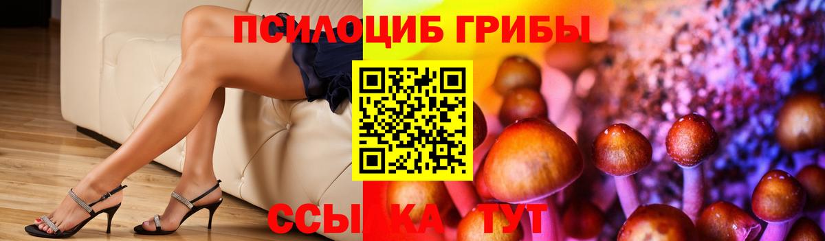 Галлюциногенные грибы прущие грибы Каменск-Шахтинский